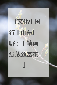 文化中国行丨山东巨野：工笔画绽放致富花
